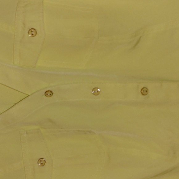 Vintage Sheer V-Neck Chiffon Button-Down Women's Blouse Size XL Bold Lemon-Lime - Picture 3 of 7